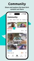 Birdfy скриншот 1