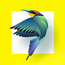 Bird Identifier APK