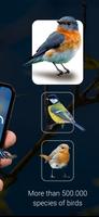 Vögel Bestimmen: Birds Id Screenshot 1