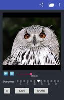 Sharpen Video স্ক্রিনশট 2