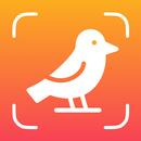 APK Birdium: Bird Identifier