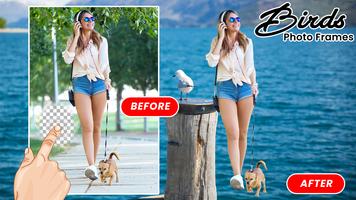 Birds Photo Frames New постер