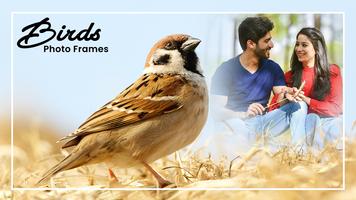 Birds Photo Frames New скриншот 2
