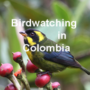 Birdwatching in Colombia-APK