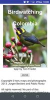 Birdwatching in Colombia Affiche