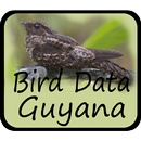 Bird Data - Guyana-APK