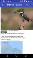 2 Schermata Bird Data - Guyana