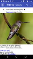 Bird Data - Ecuador スクリーンショット 1