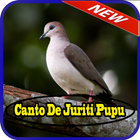 Canto De Juriti Pupu icon