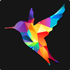 Birds of India آئیکن