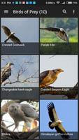 Birds of India اسکرین شاٹ 1