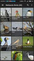 Birds of India syot layar 2
