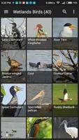 Birds of India اسکرین شاٹ 2