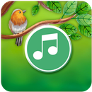 Bird Music-Relaxing sounds 2019-Meditation Music APK