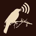اصوات طيور للصيد 2022 بدون نت icon