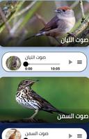 اصوات طيور للصيد 2022 بدون نت screenshot 3