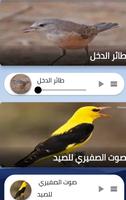 اصوات طيور للصيد 2022 بدون نت screenshot 2