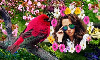 Birds Photo Frames HD اسکرین شاٹ 1