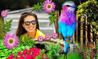 Birds Photo Frames HD تصوير الشاشة 2