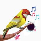 Icona Birds Sounds & Birds Ringtones