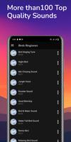Kuşlar Zil Sesleri: Şarkıları Ekran Görüntüsü 3