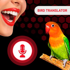 All Birds Voice Translator App Zeichen