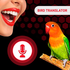 All Birds Voice Translator App 图标