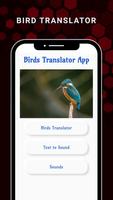 All Birds Voice Translator App Affiche