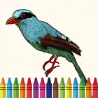 Colorful Birds Coloring Book icône