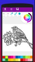 Colorful Birds Coloring Book capture d'écran 2