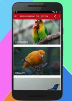 Bird Chirping Collection Ekran Görüntüsü 1