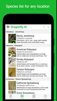 Dragonfly ID पोस्टर