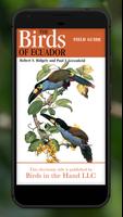 Poster Birds of Ecuador