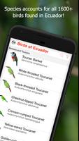 Birds of Ecuador captura de pantalla 1