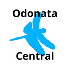 Odonata Central آئیکن