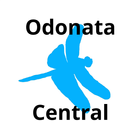 Odonata Central ikon