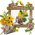 Birds photo Frames