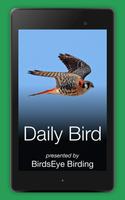 برنامه‌نما Daily Bird عکس از صفحه