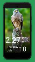 Daily Bird captura de pantalla 1