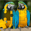 Vogel Puzzle: Puzzlespiel Zeichen