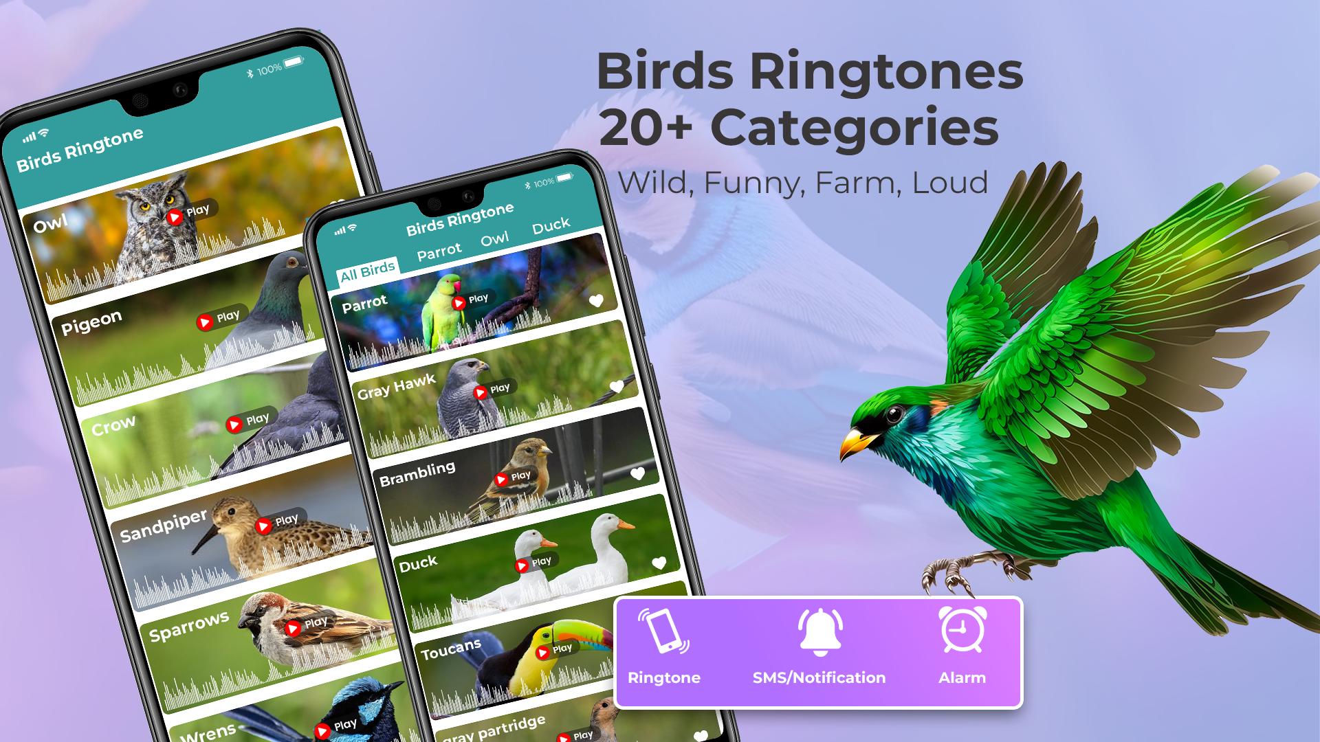 Скачать Birds Sounds Ringtones - Songs APK для Android - Последняя Версия