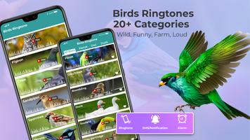 Animals and Birds Ringtone poster