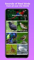 Animals and Birds Ringtone تصوير الشاشة 3