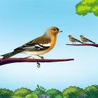 Bird Sort Puzzle Sort Games icône