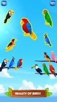 Bird Sort Puzzle Sort Games poster