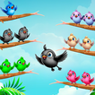 Bird Sort Puzzle Match Game