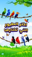الطيور المباراة لغز لعبة اللون تصوير الشاشة 3
