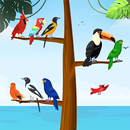 Bird Sort Color :Puzzle Game APK