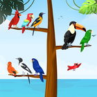 Bird Sort Color Puzzle Master simgesi