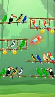 Bird Sort Color Puzzle Master Ekran Görüntüsü 3